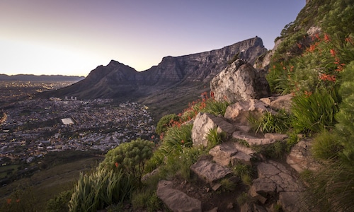 Internship Cape Town