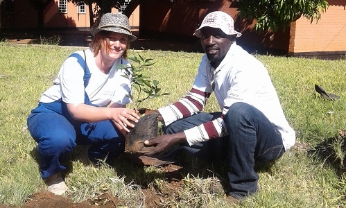 volunteer work placement