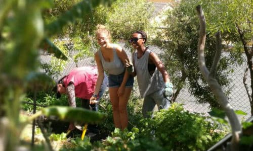 Horticulture intern