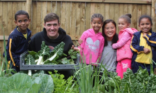 Environmental internship in Cape Town