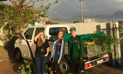 urban greening NGO internship in cape town
