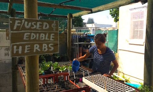 Organic Farming Interns