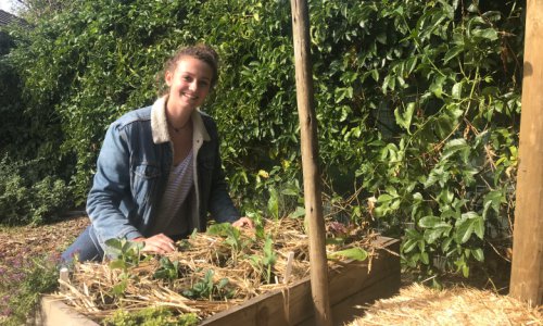 Food security and urban farming internship