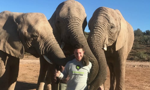 summer internship in cape town