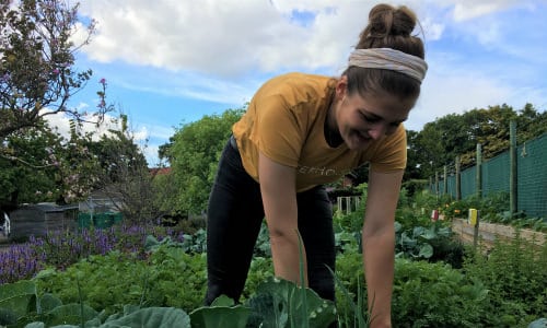 food security internship in africa
