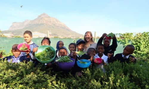 Food Security and Urban Farming internship