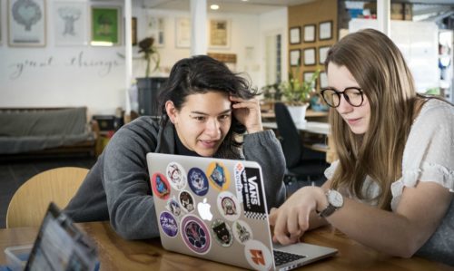 Two interns in Greenpop office