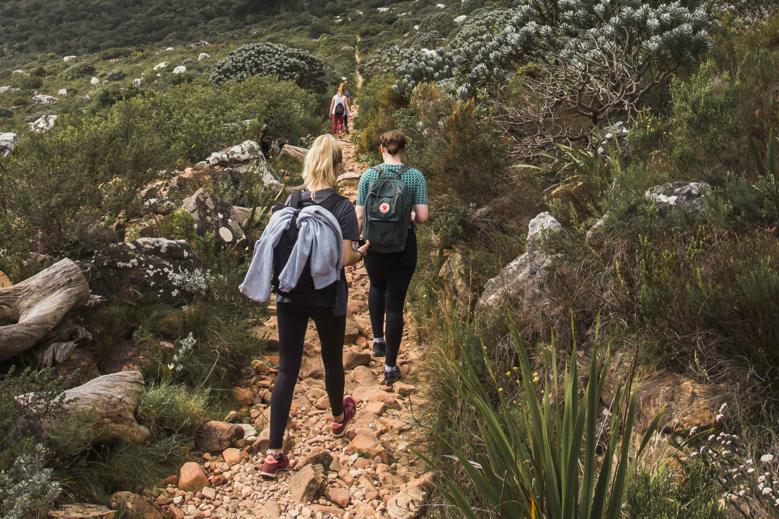 Interns on Pipe Track in Cape Town South Africa