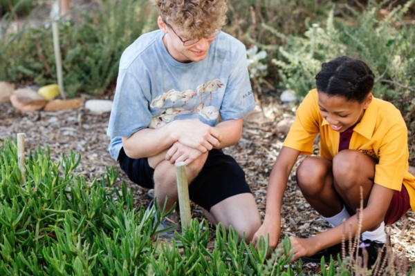 Urban greening internship