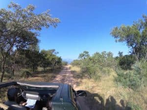 Auriane NGO Management Internship Kruger National Park South Africa