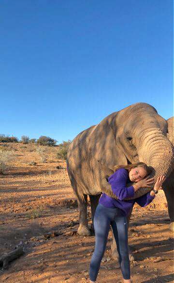 Paula Lindenberg Elephants Garden Route South Africa