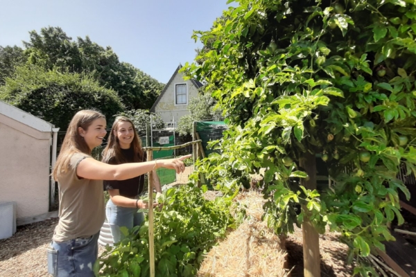 UH-Urban farming