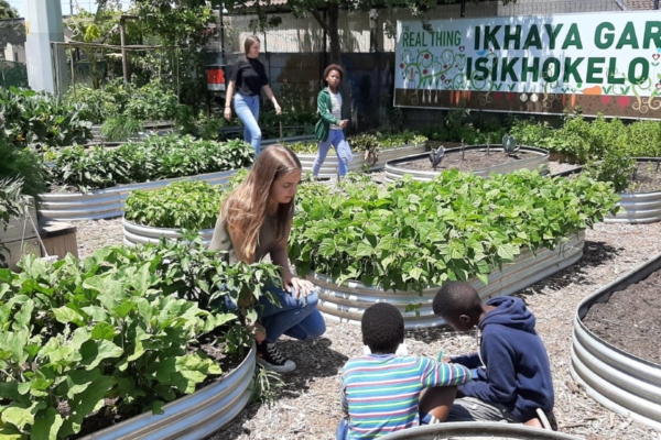 UH-Urban farming