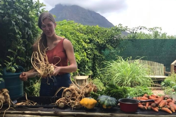 UH-Urban farming