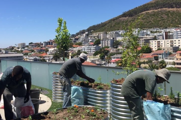 UH-Urban farming