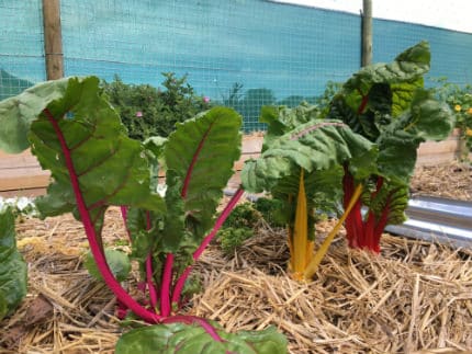 food security internship
