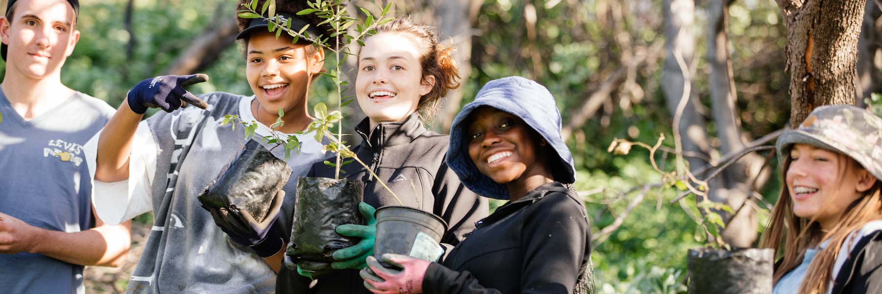 10 Best Internships in Africa in 2025
