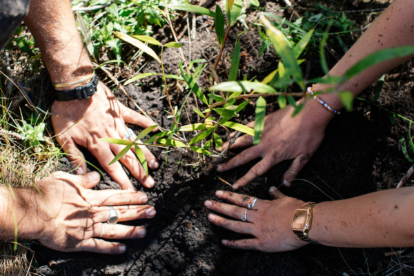 Juliette Bisset_Environmental Volunteer Program