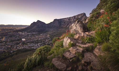 internships in South Africa
