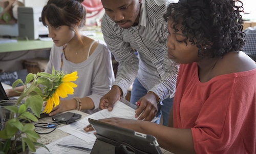 business development internships