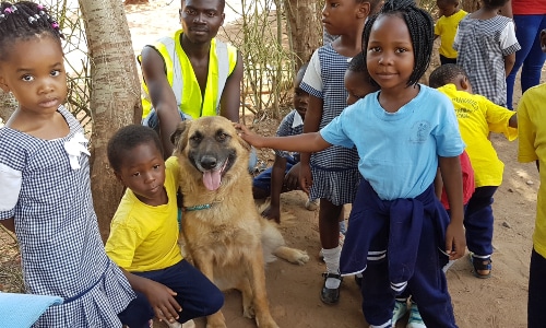 Animal Rescue Management Internship