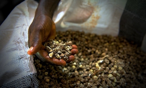 Ghana Permaculture Institute