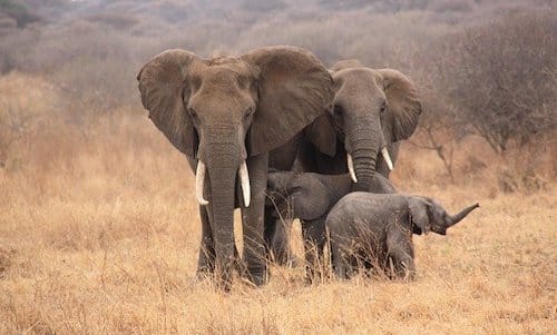 Internships in Tanzania