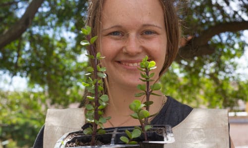 Creative writing internship picture