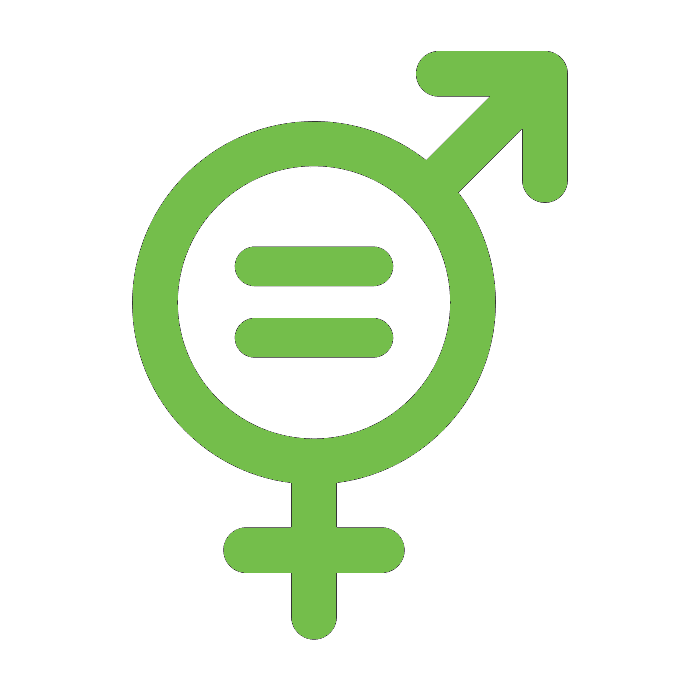 gender equality internships