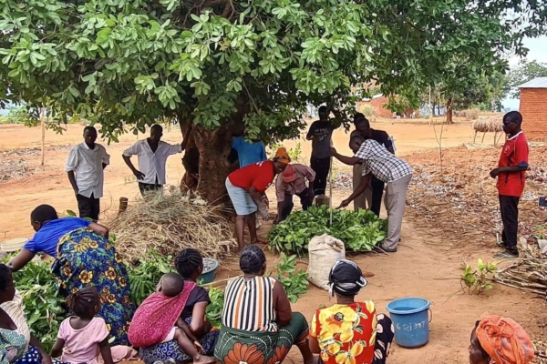 agroforestry workshop in Malawi