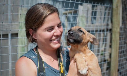 Animal Charity Communications Internship
