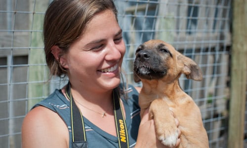 digital marketing internship with animal rescue center