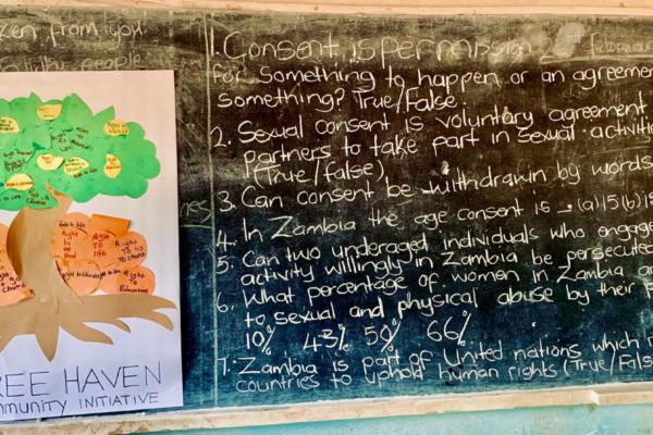 Teaching & Curriculum Development Internship