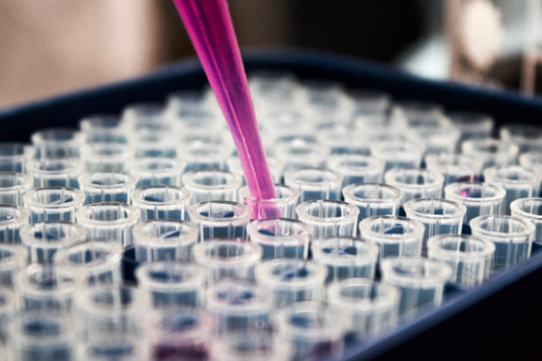 MR-Biology Research internship