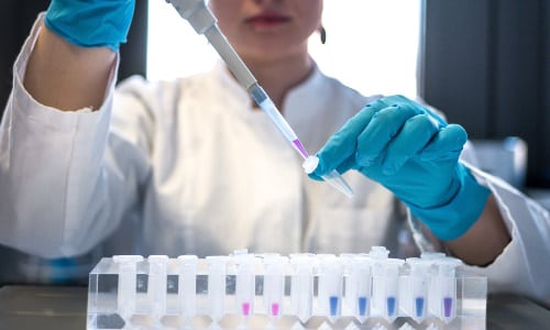 MR-Biology Research internship
