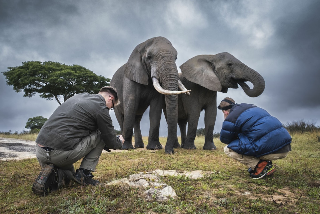 Wildlife Conservation Photography Workshop