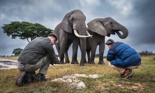 Wildlife Conservation Photography Workshop feature