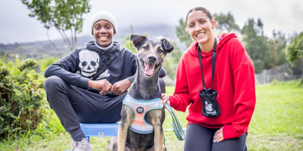 Nonprofit summer internship