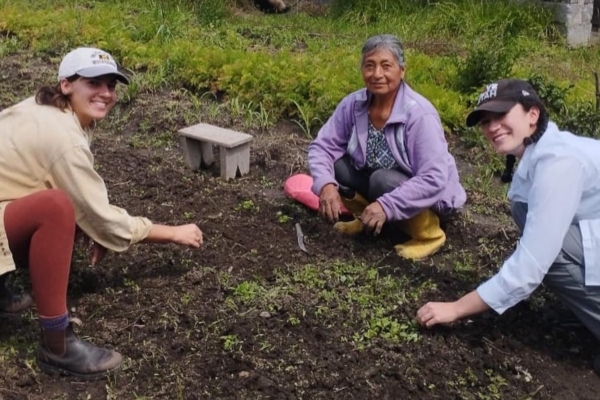 volunteers and local planting outdoor