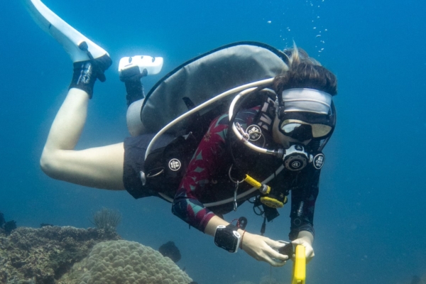 a woman scubas in the ocean with a camera