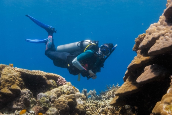 a person in a scuba suit is swimming over a coral reef