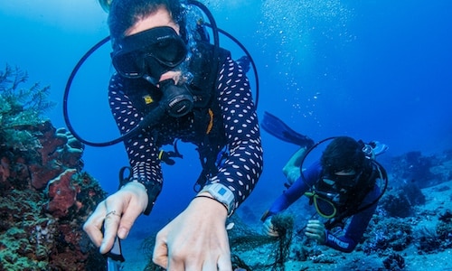 divers underwater