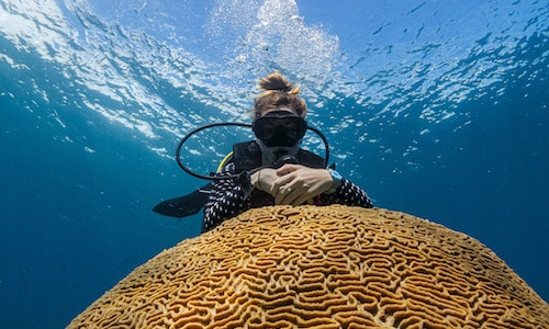 a diver with a reef