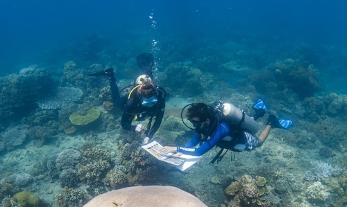 two divers underwater reading a map