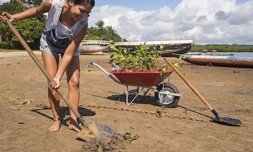 woman digging the soil