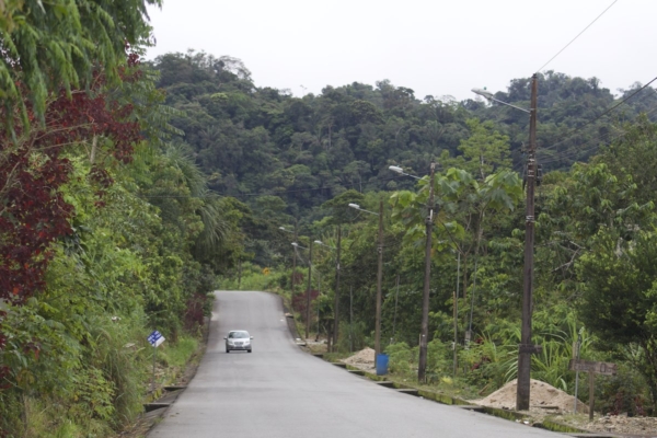 car in the road surrounded by nature