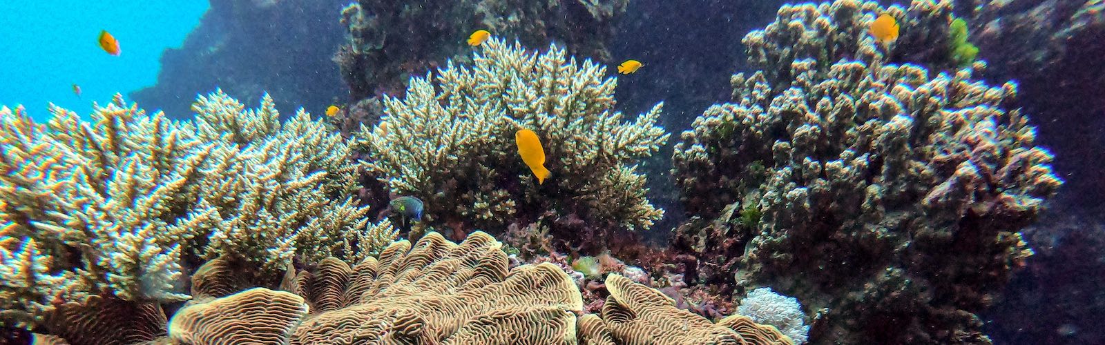 Best Marine Internships for 2023