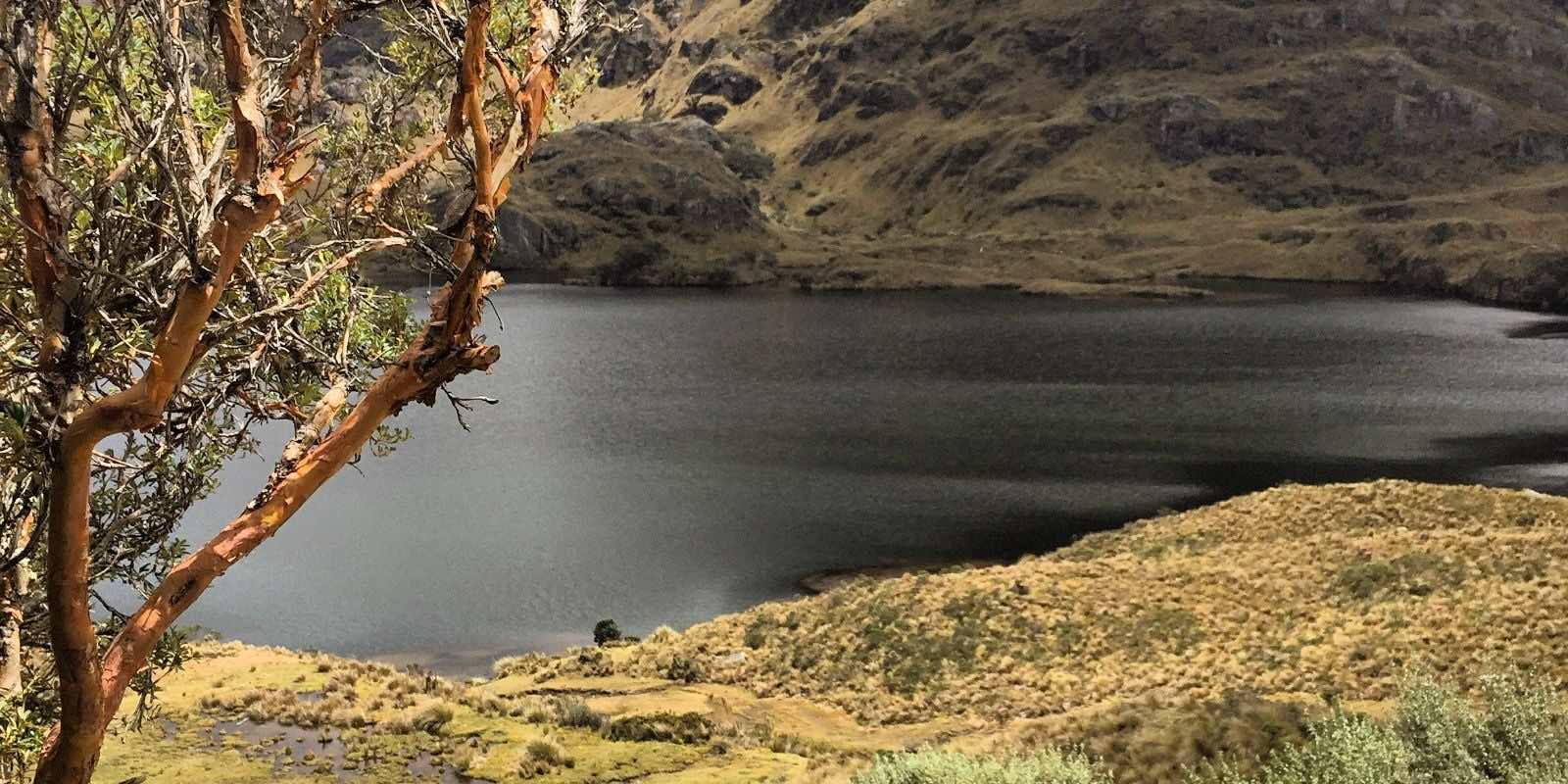 a river and a mountain in Ecuador