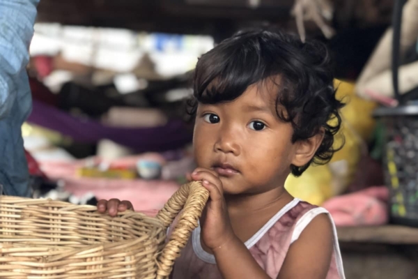 little girl with basket