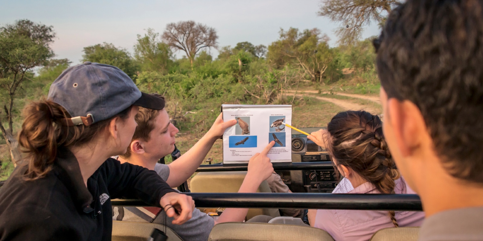 interns viewing birds while on a game drive